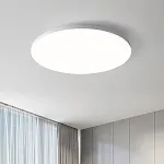 24W Diameter 300mm White