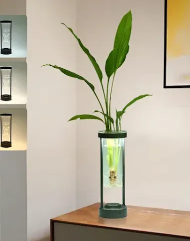 Image product - 0
