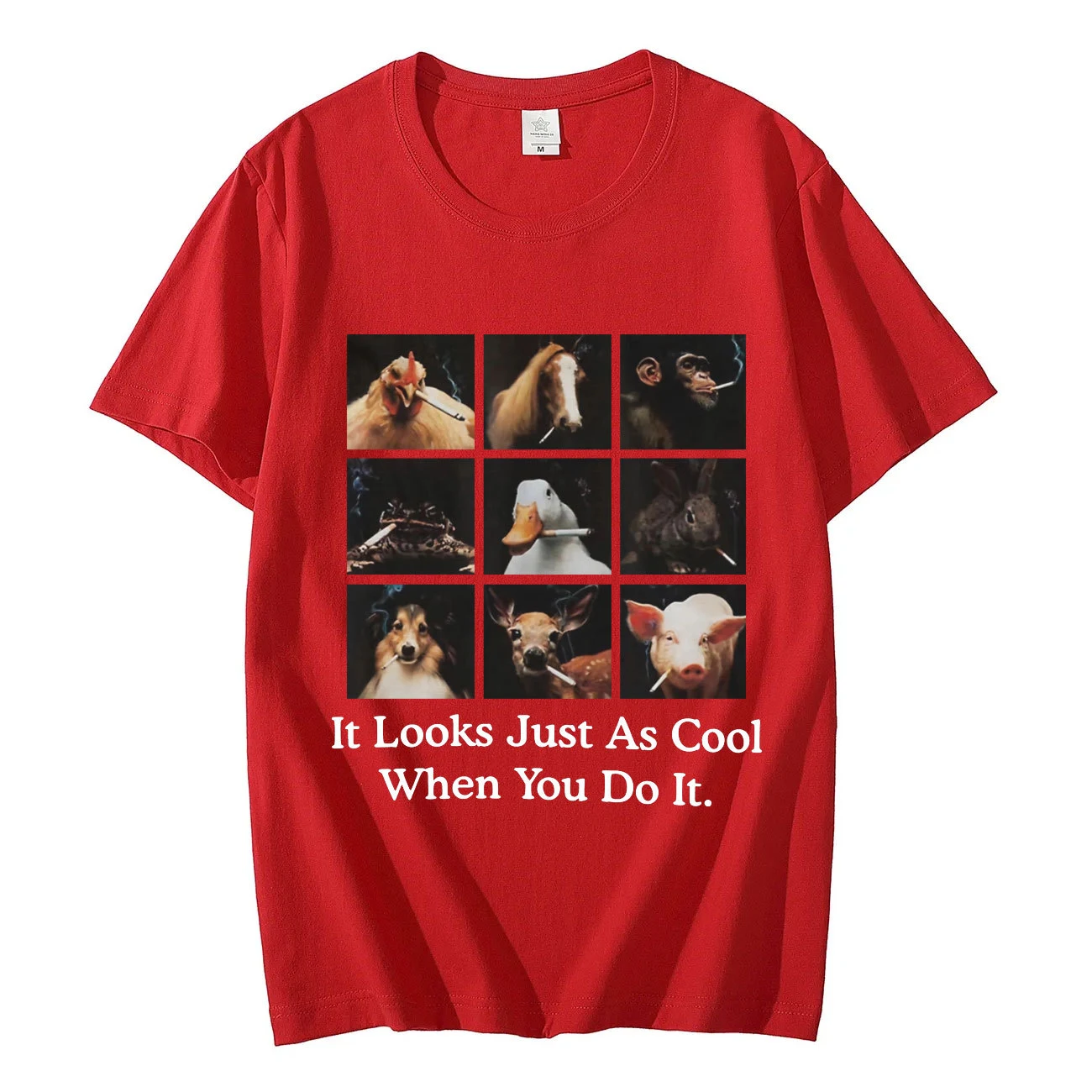 product image - 6
