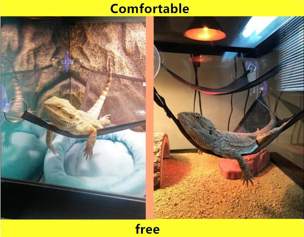 Title 2, Reptile Hammock for Lizards and Snakes provides...