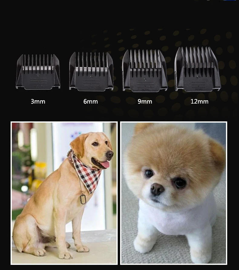 product image - 12