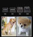 miniatures image - 12