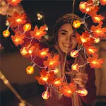 Halloween en Thanksgiving decoratie pompoenlicht. Verlicht uw huis met deze feestelijke decoratie en creëer een gezellige sfeer voor de feestdagen. — foto 1