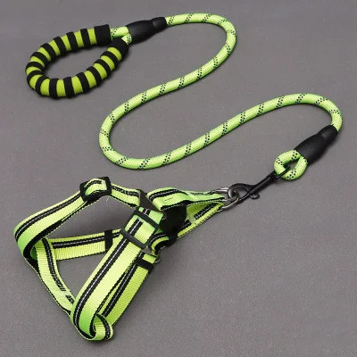 Title 4, Dog Leash and Chest Harness Combo, Comfortable ...