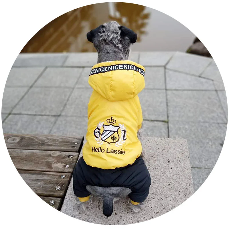 Title 6, Warm puppy clothes Keep your puppy cozy and pro...