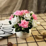 miniatures image - 0