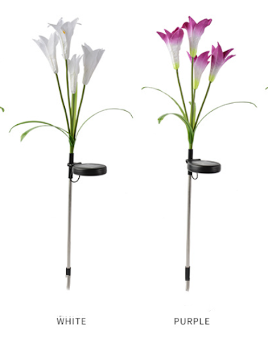 Image product - 3