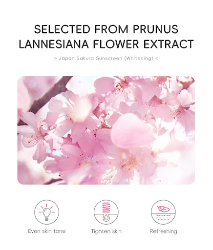 Title 5, Primer trucco illuminante 50g Prodotti per la c...