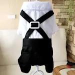 XL