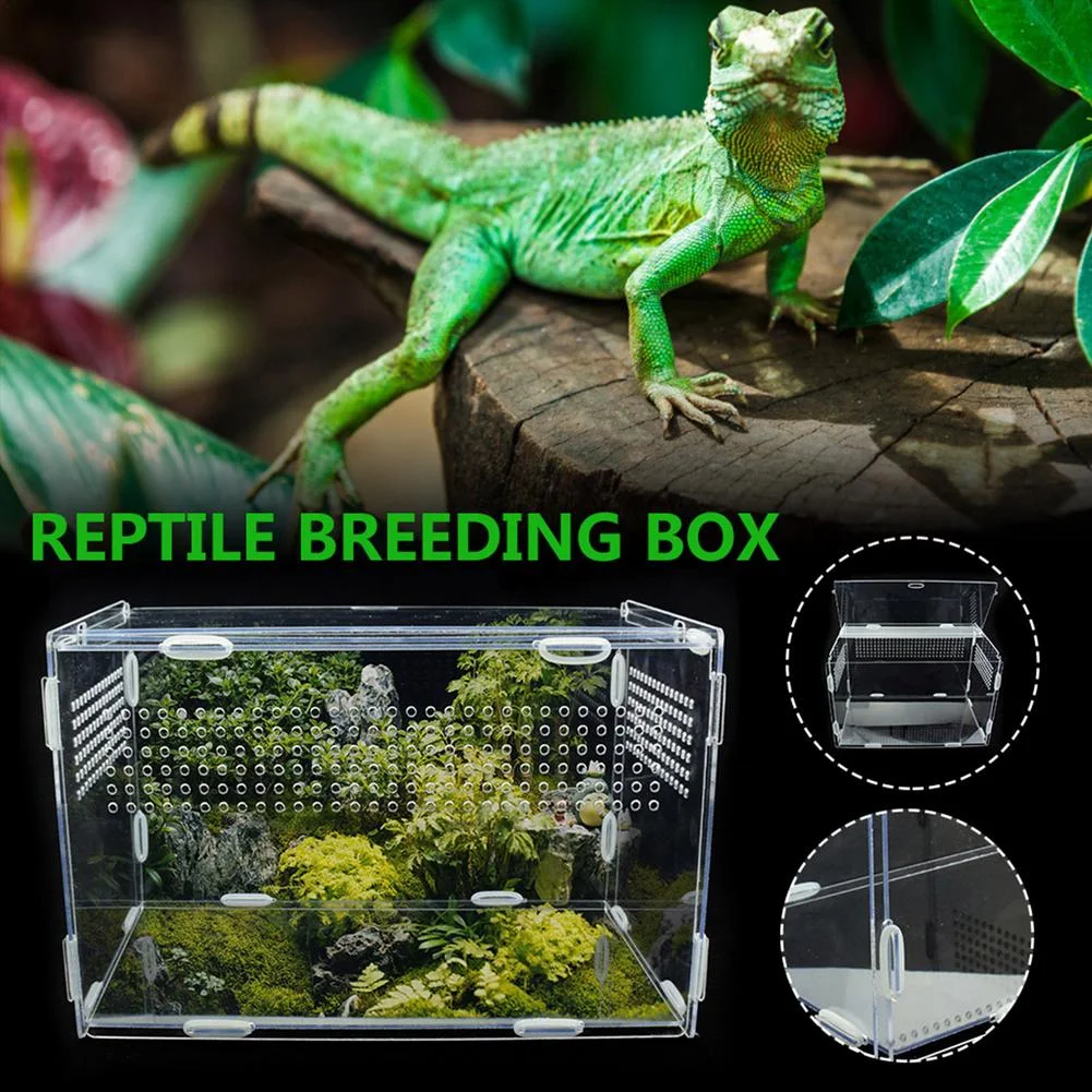 Title 14, Reptile Breeding Box Acrylic Spider Lizard Scor...