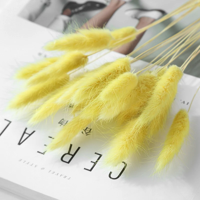 Home Decoration Ornaments Rabbit Tail Grass Dried Flower Bouquet Enhance your home with a touch of natural beauty and cr — photo 5
