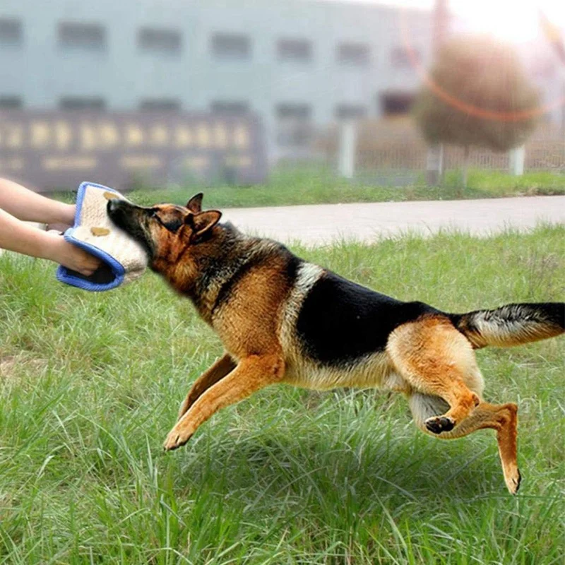 Title 4, Stylish and tear-resistant dog training supplie...