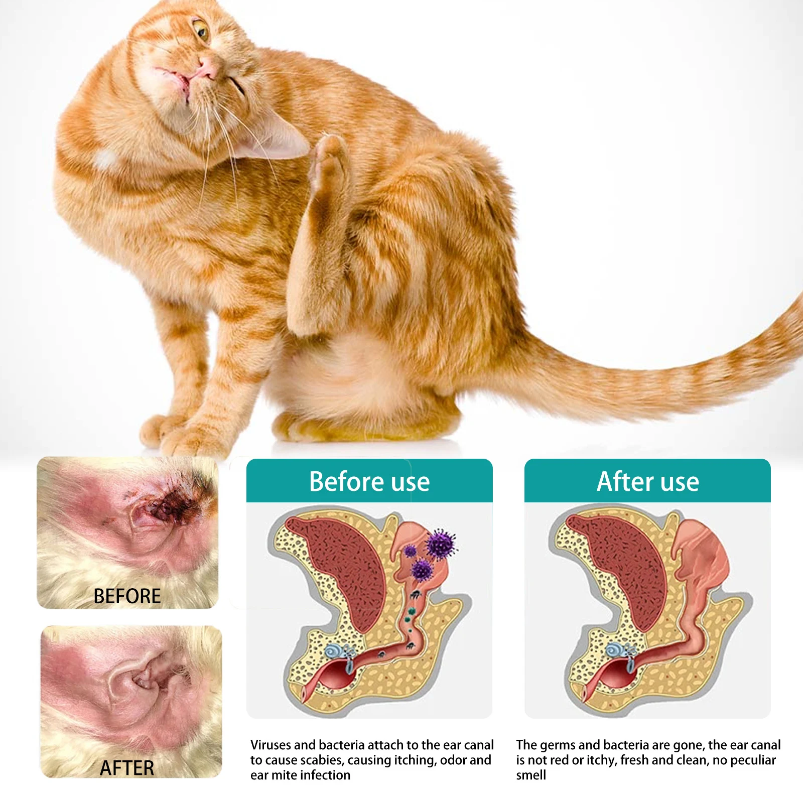 Pet Ear Cleaning Finger Stall – Removes Earwax and Mites – Gentle Ear Care for Dogs and Cats – Meatus Acusticus Hygiene — photo 9