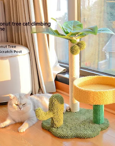 Image product - 2