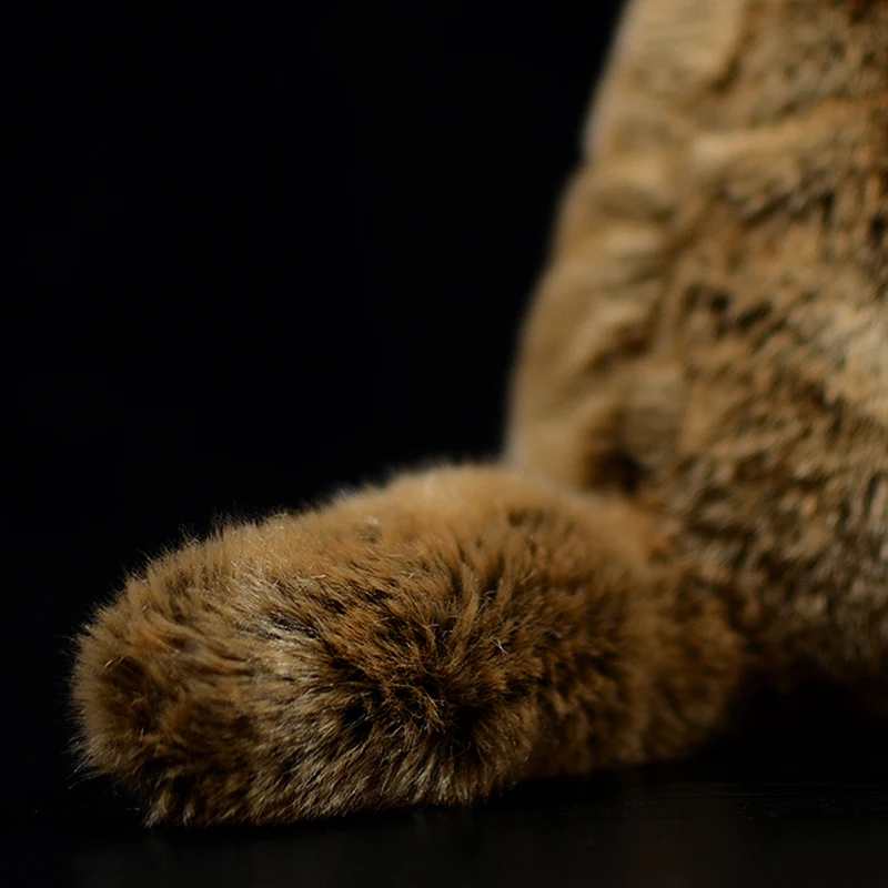 Title 8, Cute Groundhog Simulation Animal Plush Model. A...