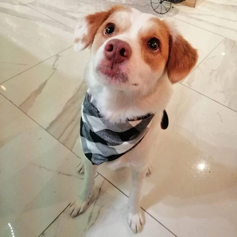 Title 7, Dog and Cat Bandanas Plaid Cotton Bandanas Wash...
