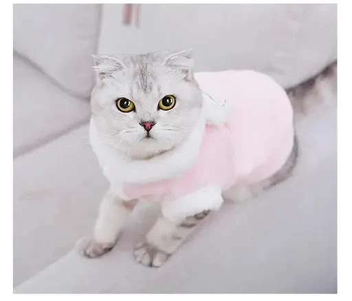 Title 8, Winter Cat Clothes Without Sleeves to Prevent H...