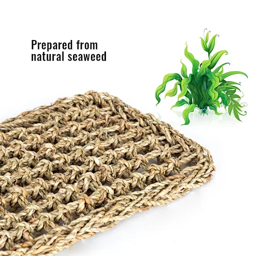 Title 10, Lizard Straw Mat Crawling Hammock Pet Nest Cool...
