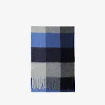 Blue And White Grid