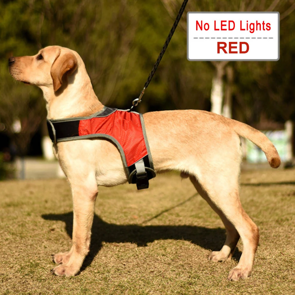 Title 3, Pet Solid Color K-Shaped Luminous LED Strap for...