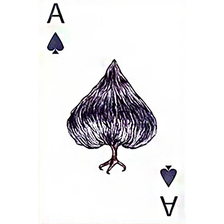 product image - 1
