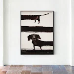 miniatures image - 0