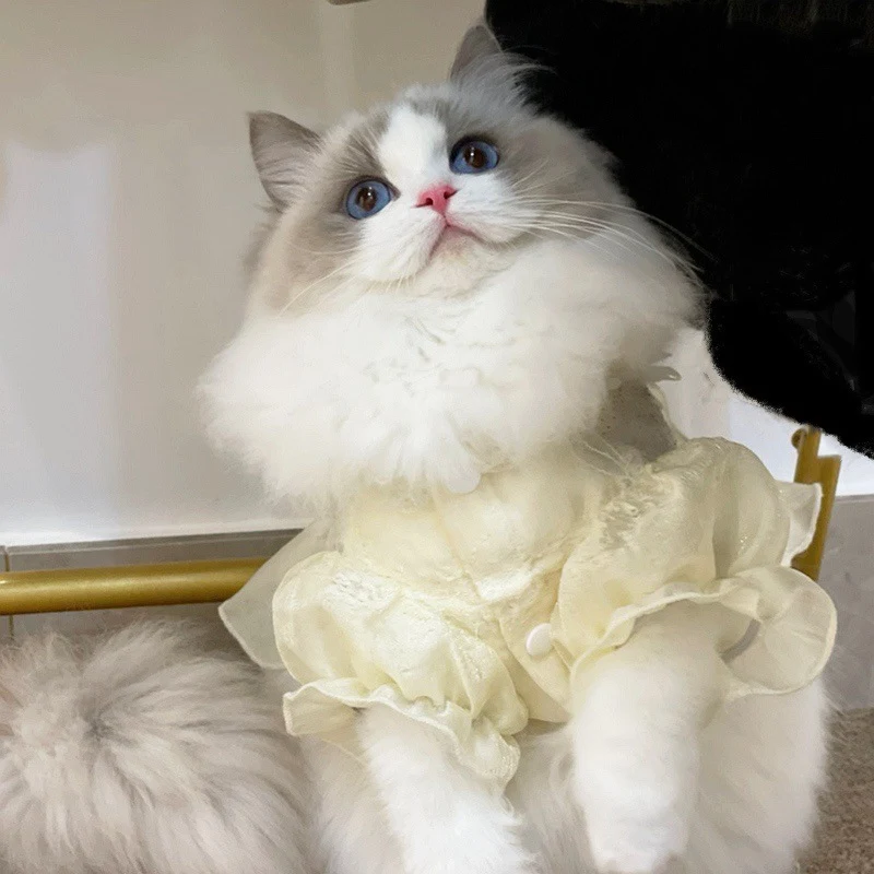 Title 6, Thin Cat Clothes Anti-hair Loss Pet Kitten, min...