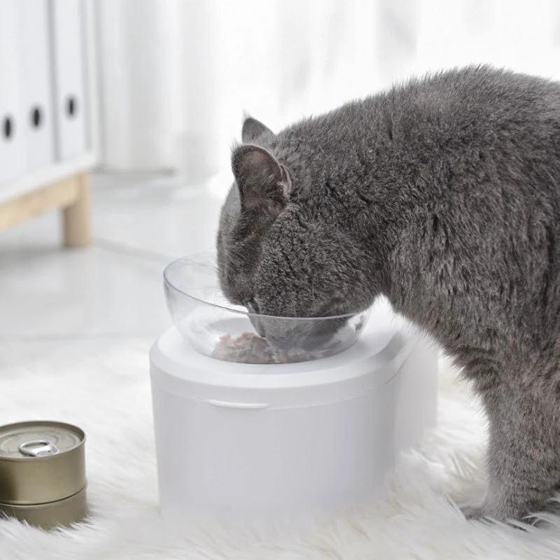 Oblique mouth double bowl transparent pet bowl. Promotes comfortable and clean eating. Easy to clean design. Perfect for — photo 5