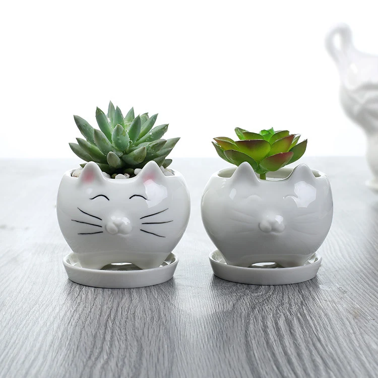 Creatieve tuinieren balkon succulenten keramische bloempot decoratie. Versier je balkon met deze stijlvolle bloempot en geniet van bloemen. — foto 6
