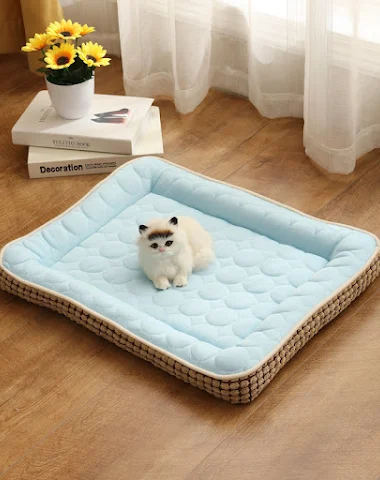 Image product - 3