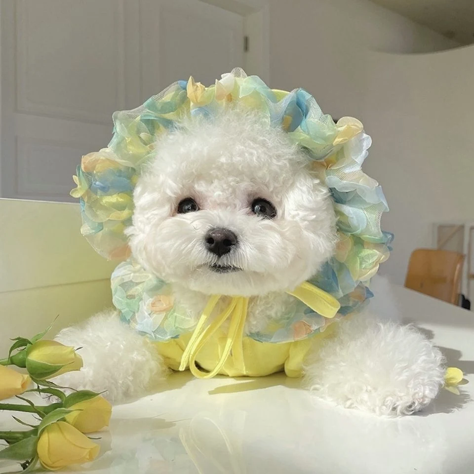 Mesh Bichon Teddy Dog Skirt, designed for style and comfort. Perfect for walks, this skirt offers a fashionable look and — photo 6