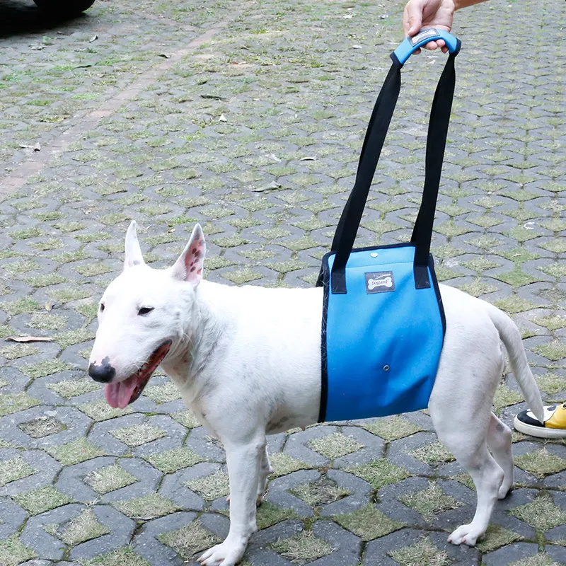 Title 6, Dog Leg Injury Protection Pet Walking Belt help...