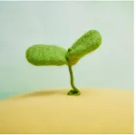 miniatures image - 0