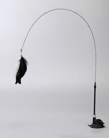 Image product - 2
