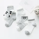 Gray panda