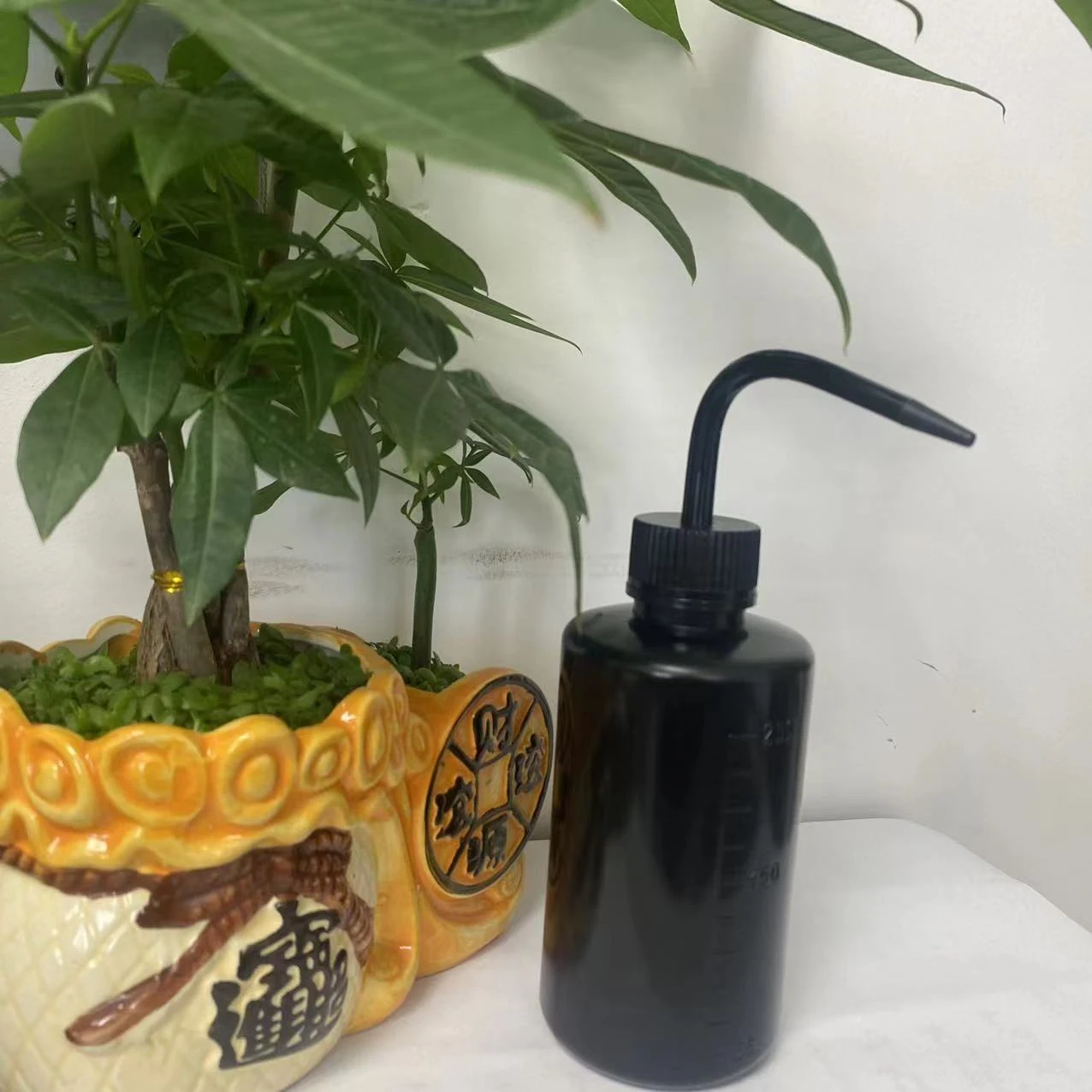 product image - 4