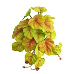 Autumn Alumroot