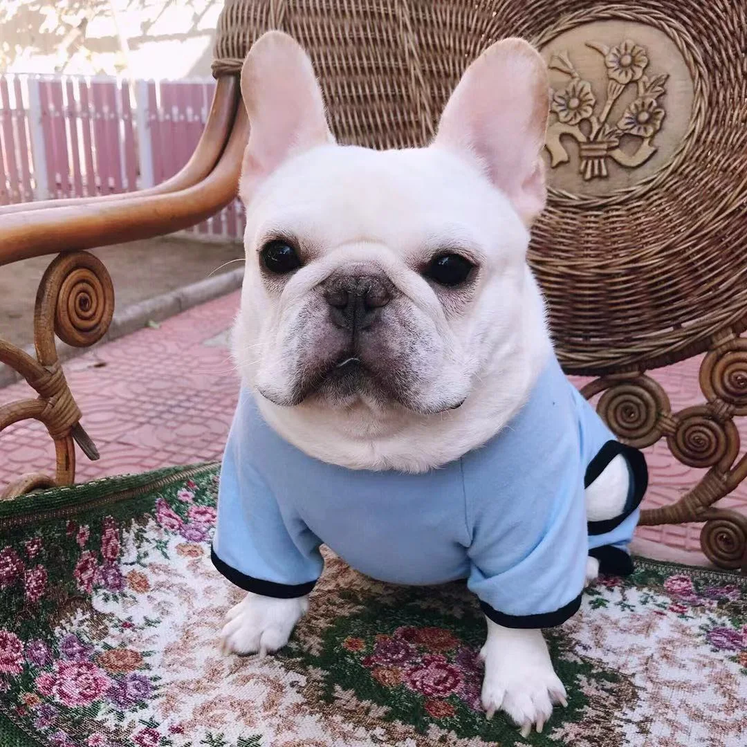 Title 1, Fat Dog Four-Legged Cotton Printed Pajamas. Com...