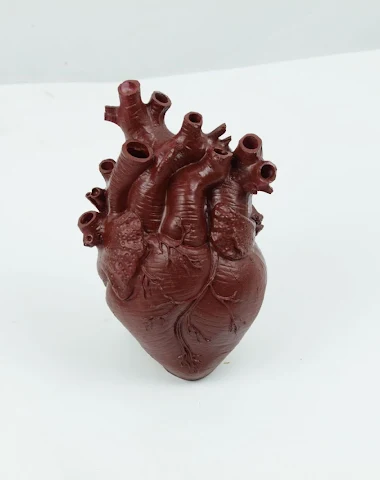 Image product - 0