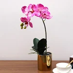 miniatures image - 6