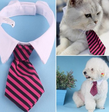 product image - 13