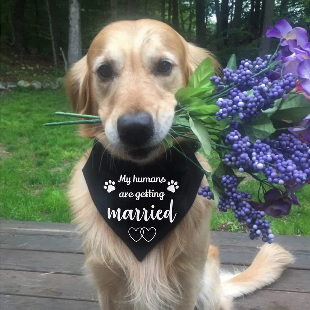Title 13, My Humans are Getting Married Dog Bandana Over ...
