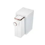British Regulatory Plug
