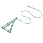 miniatures image - 1