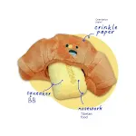 Butter Croissant