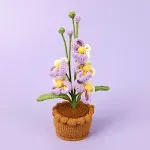 Phalaenopsis Potted Purple