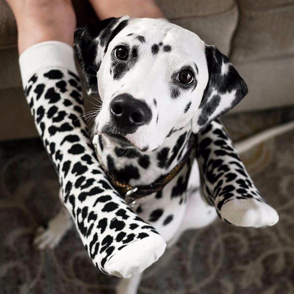 Title 1, Leopard Dalmatian Black White Cotton Crew Socks...