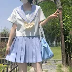 Short Sleeve Top With Skirt