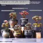 miniatures image - 24