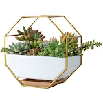 miniatures image - 3